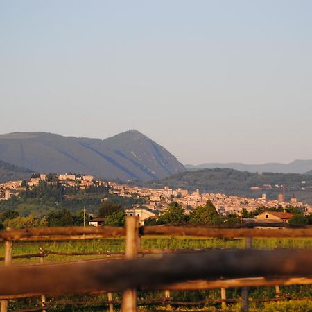 Agriturismo Il Barco Spello Kültér fotó