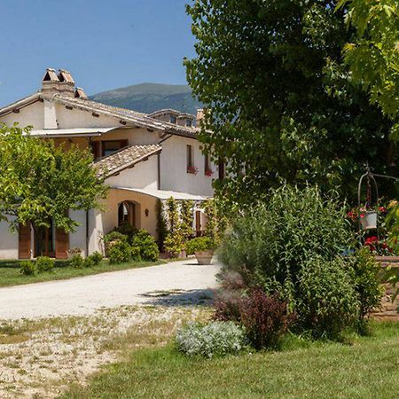 Agriturismo Il Barco Spello Kültér fotó