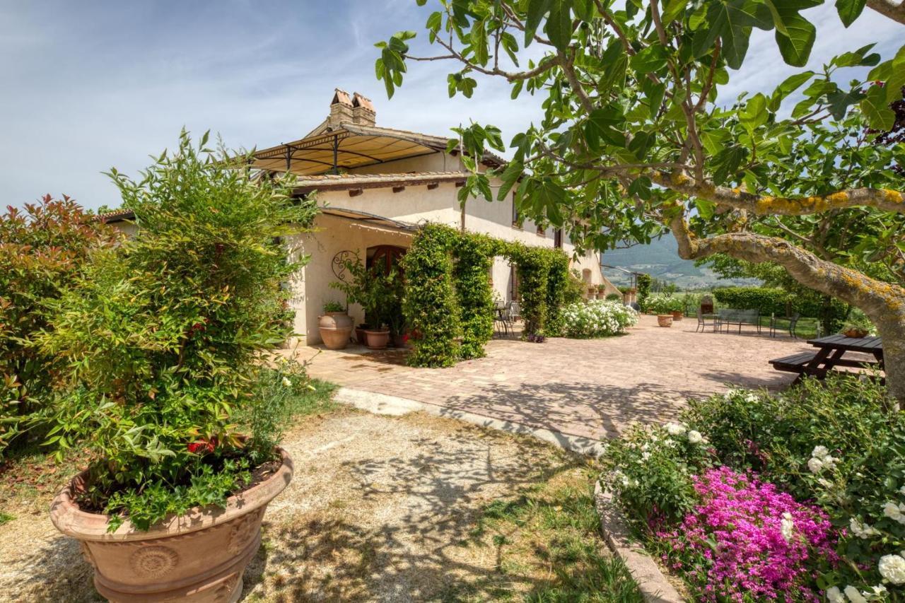 Agriturismo Il Barco Spello Kültér fotó