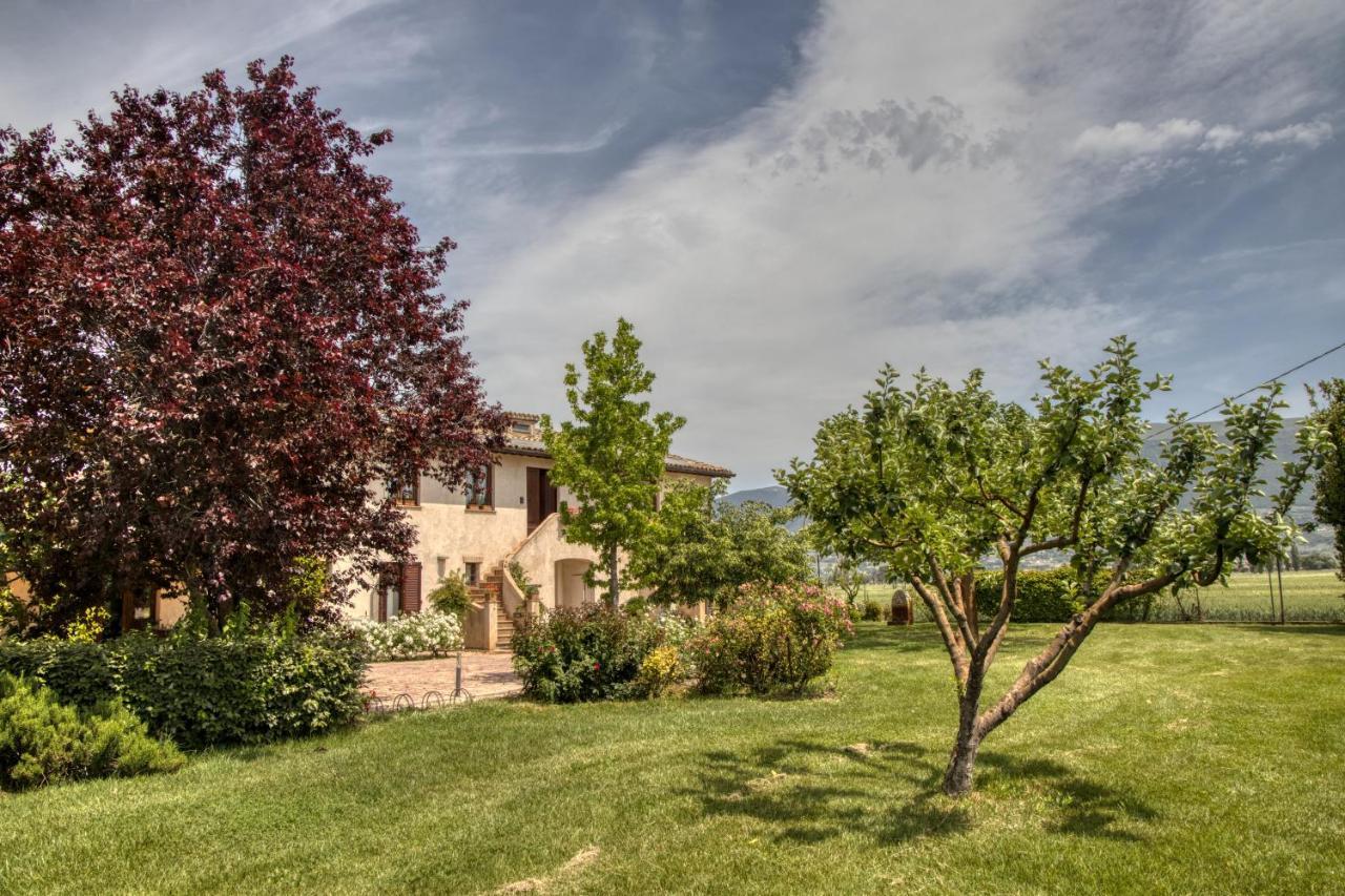 Agriturismo Il Barco Spello Kültér fotó