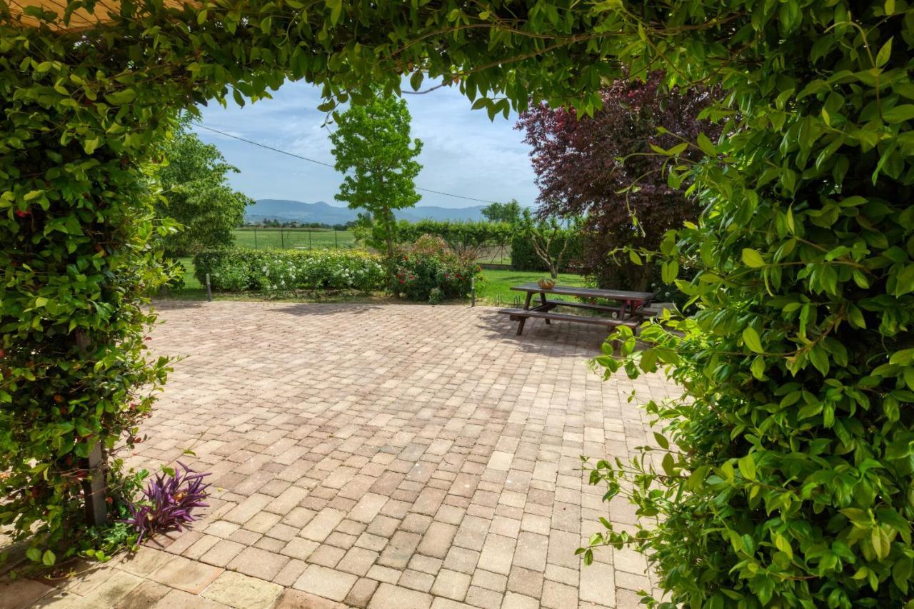 Agriturismo Il Barco Spello Kültér fotó