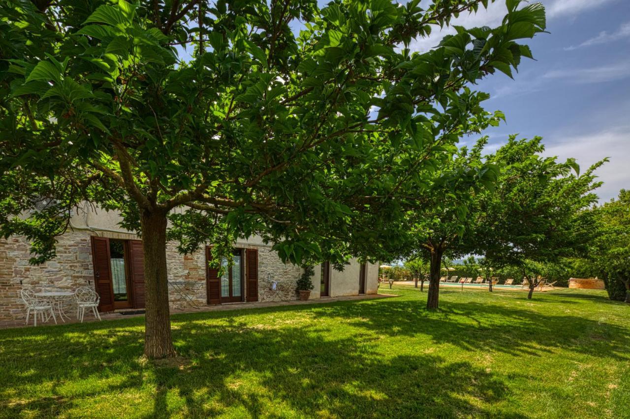 Agriturismo Il Barco Spello Kültér fotó