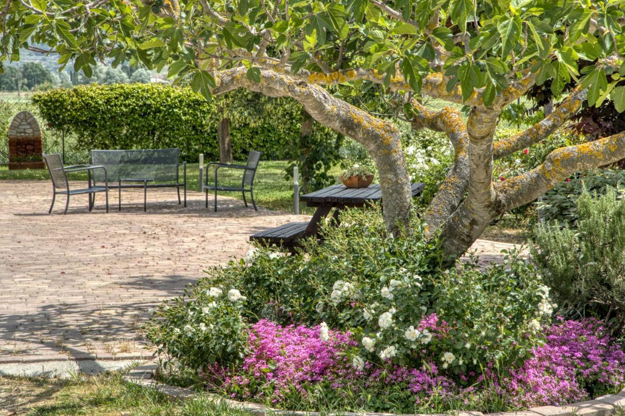 Agriturismo Il Barco Spello Kültér fotó