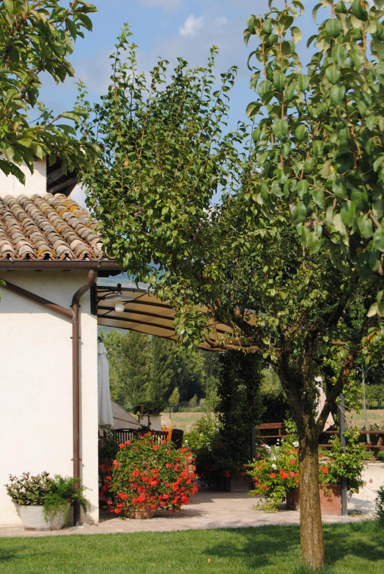 Agriturismo Il Barco Spello Kültér fotó