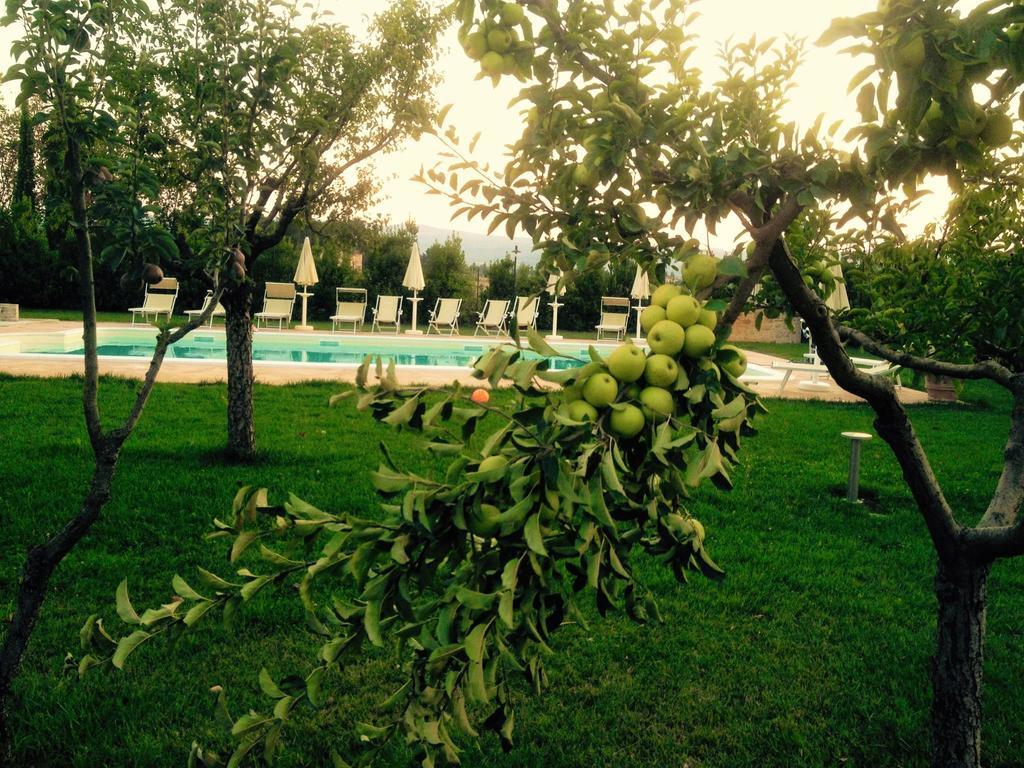 Agriturismo Il Barco Spello Kültér fotó