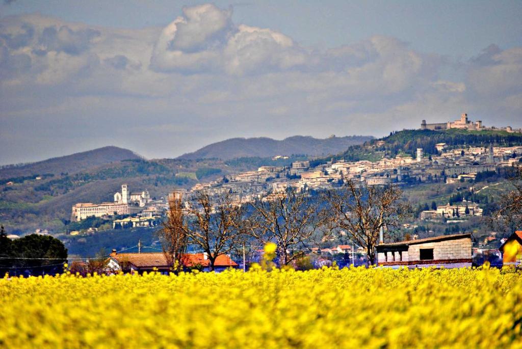 Agriturismo Il Barco Spello Kültér fotó