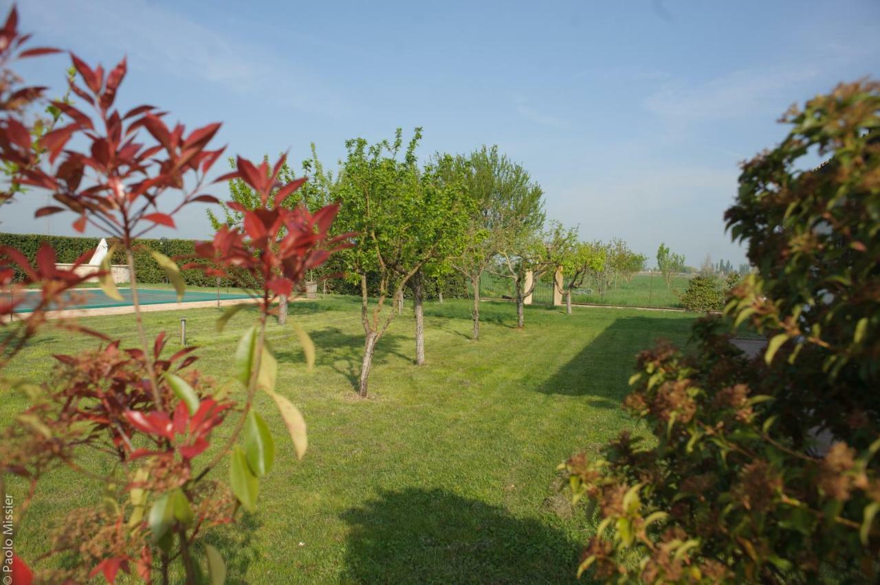 Agriturismo Il Barco Spello Kültér fotó