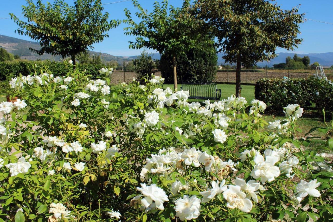 Agriturismo Il Barco Spello Kültér fotó